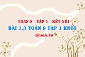 Bài 1.3 SGK Toán 8 tập 1 Kết nối tri thức